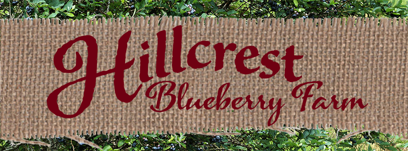 Hillcrest Blueberry Farm Home page header
